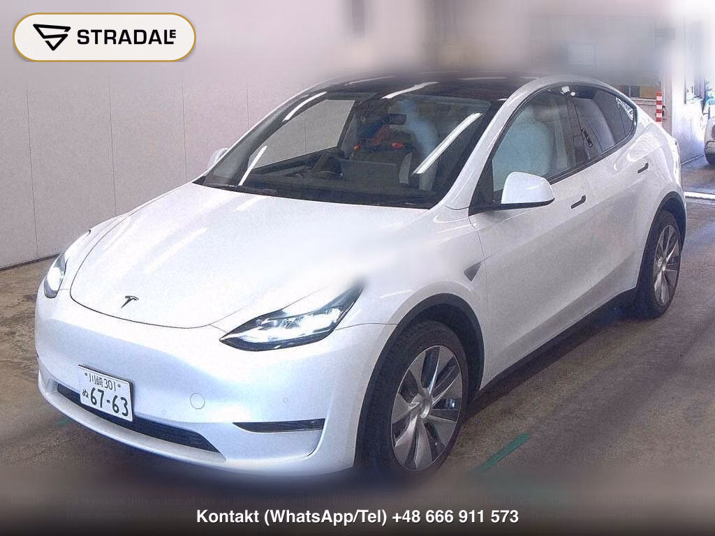 TESLA MODEL Y 4WD LONG RANGE, miniaturka 5