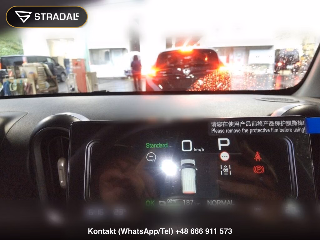 BYD RACCO 200, miniaturka 7