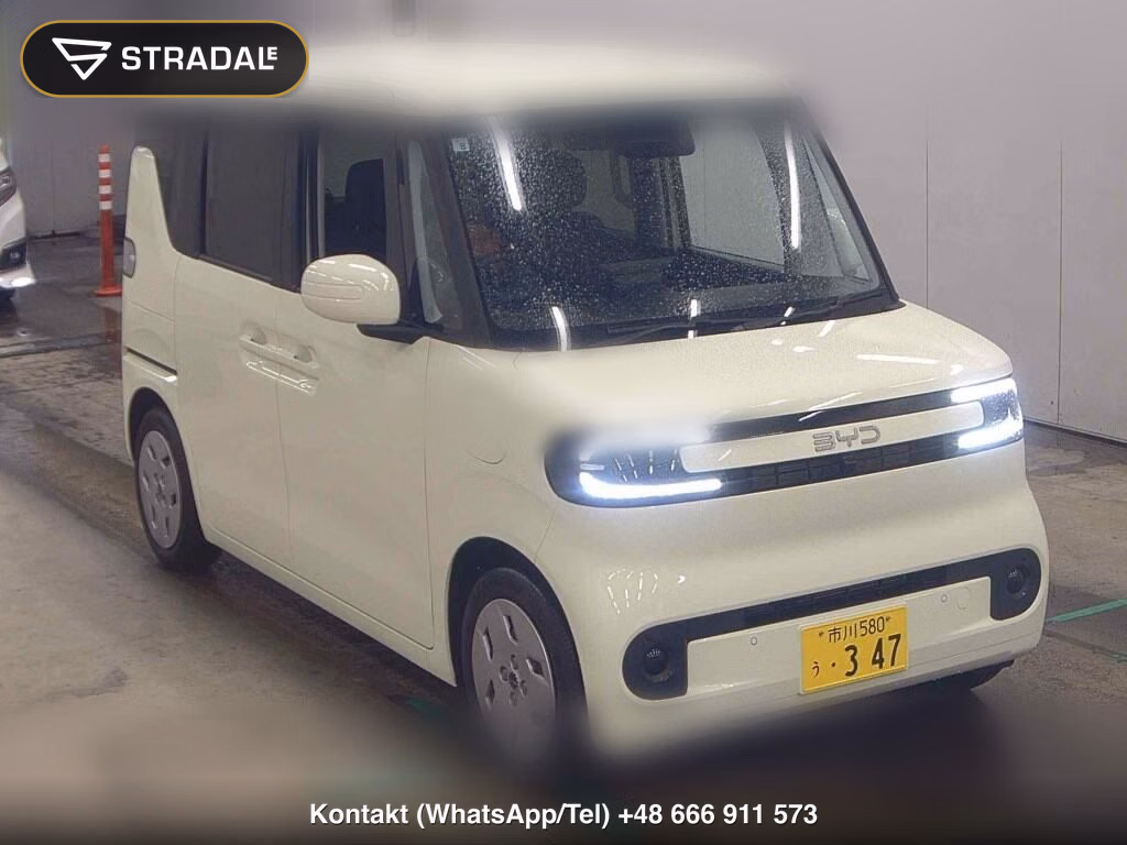 BYD RACCO 200 2026, aukcja z Japonii, zdjęcie 1