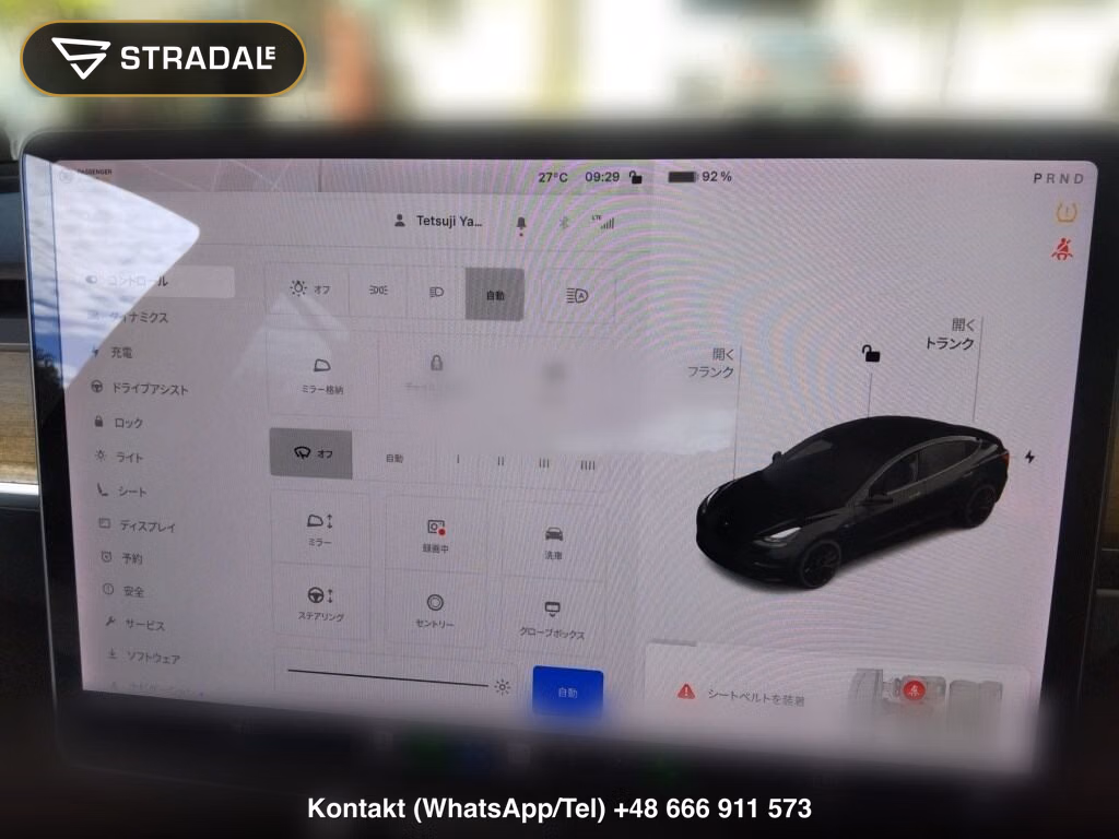 TESLA MODEL 3 4WD PERFOMANCE, miniaturka 7