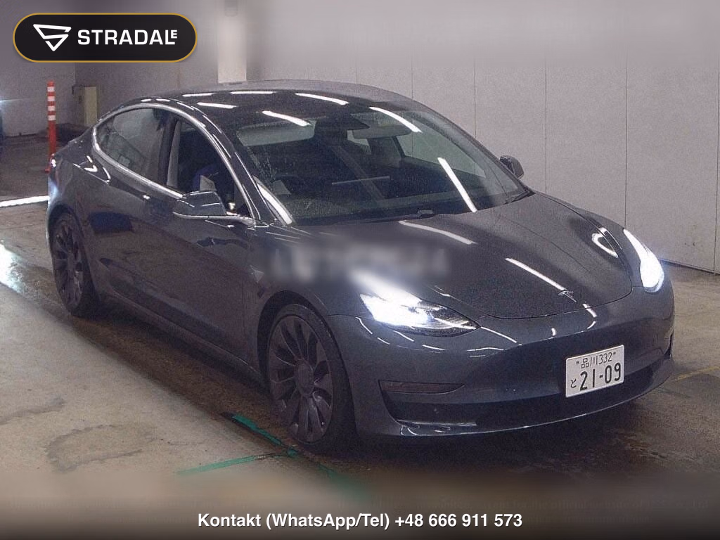 TESLA MODEL 3 4WD PERFOMANCE, miniaturka 2