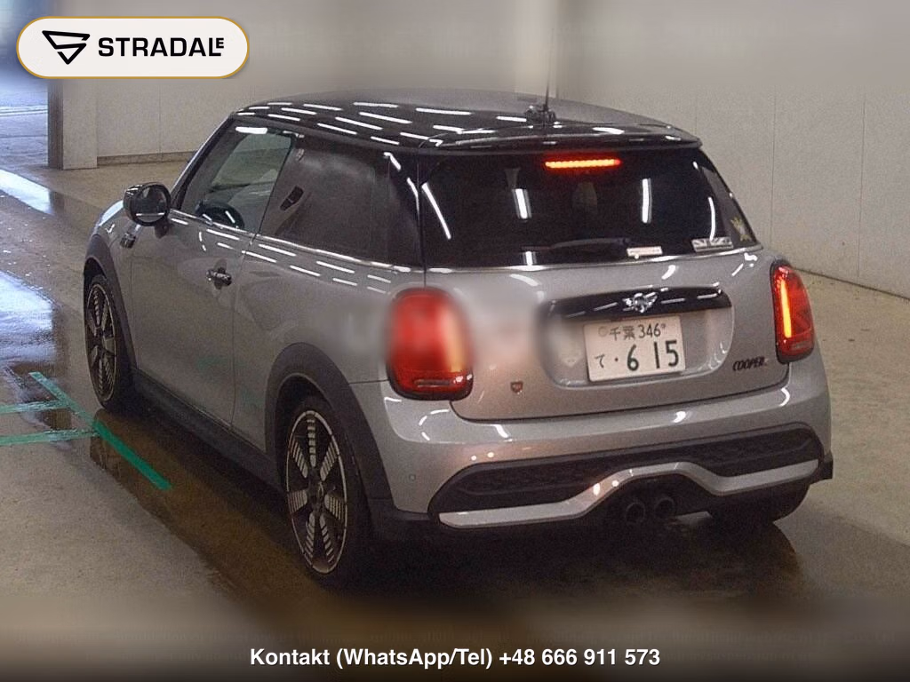 MINI MINI 3D COOPER S, miniaturka 3