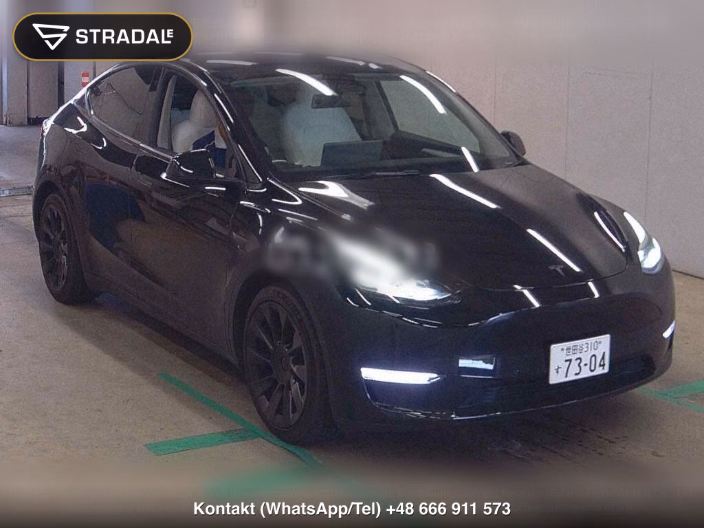 TESLA MODEL Y RWD, miniaturka 2