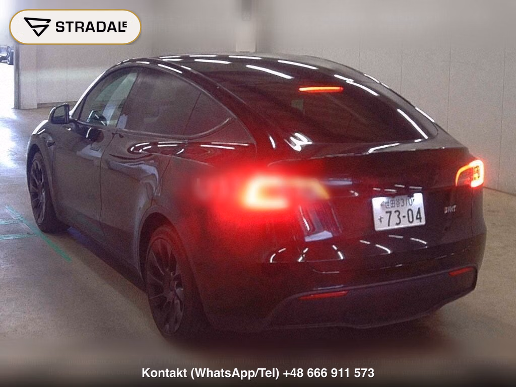 TESLA MODEL Y RWD, miniaturka 3