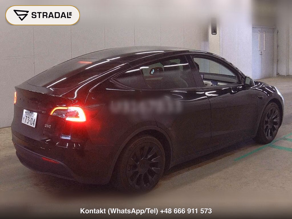 TESLA MODEL Y RWD, miniaturka 6
