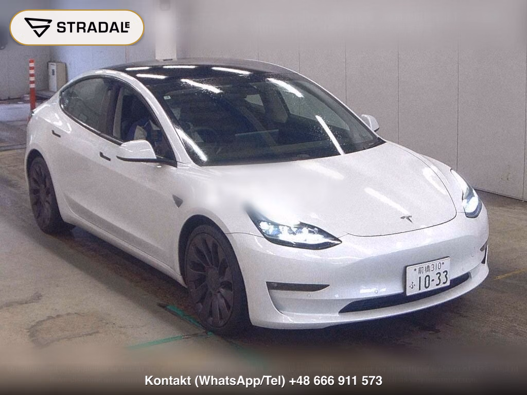 TESLA MODEL 3 4WD PERFOMANCE, miniaturka 2