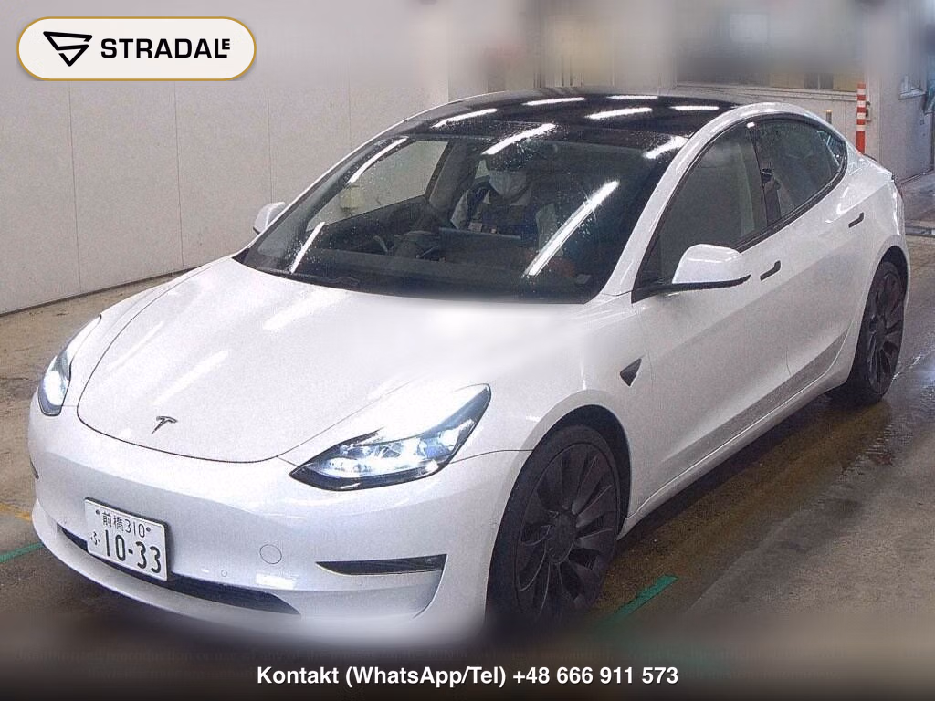TESLA MODEL 3 4WD PERFOMANCE, miniaturka 5