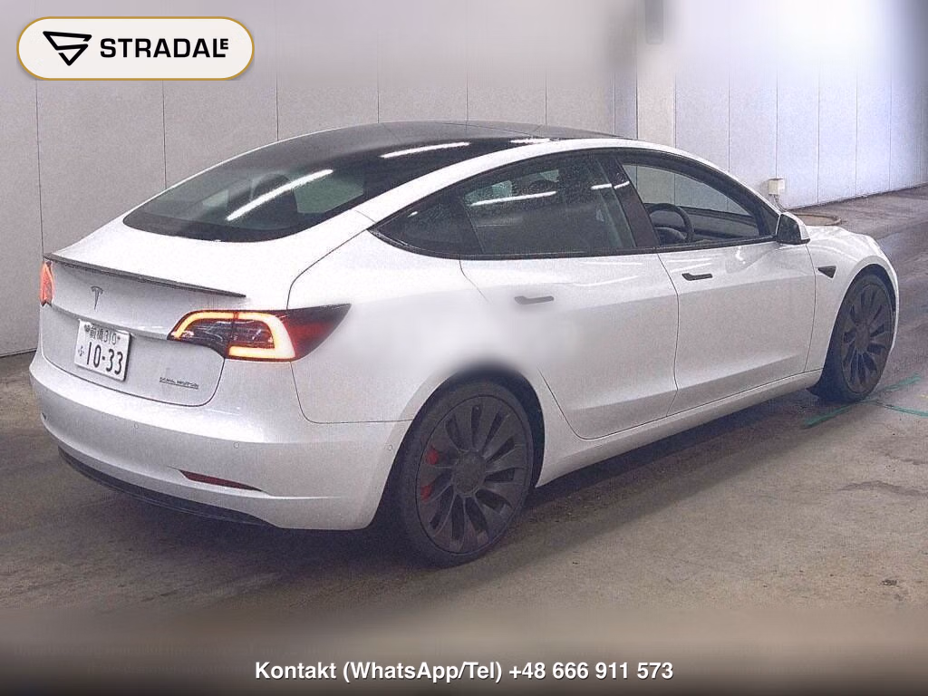 TESLA MODEL 3 4WD PERFOMANCE, miniaturka 6