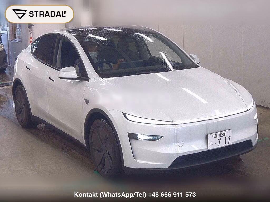 TESLA MODEL Y RWD, miniaturka 2