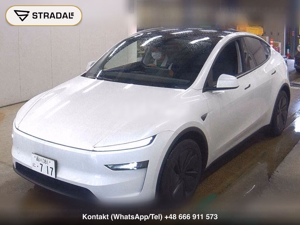 TESLA MODEL Y RWD, miniaturka 5