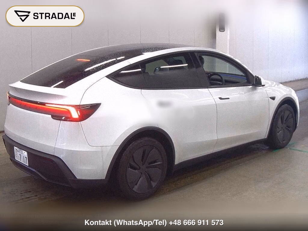 TESLA MODEL Y RWD, miniaturka 6