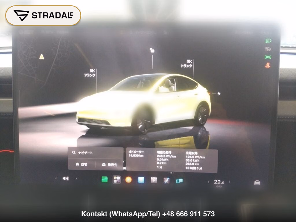TESLA MODEL Y RWD, miniaturka 7