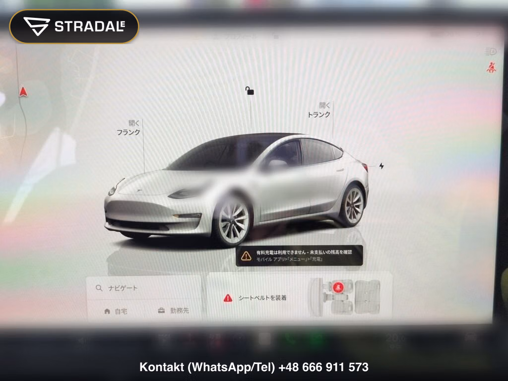 TESLA MODEL 3 4WD LONG RANGE, miniaturka 7