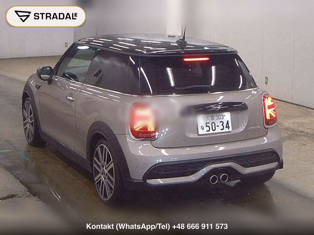 MINI MINI 3D COOPER S, miniaturka 3
