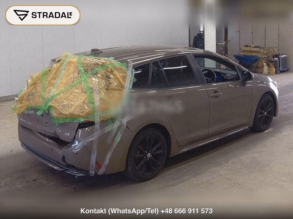TOYOTA COROLLA TOURING HYBRID WXB 50 MILLION EDITION, miniaturka 6