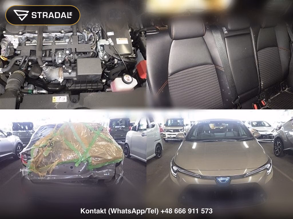 TOYOTA COROLLA TOURING HYBRID WXB 50 MILLION EDITION, miniaturka 7