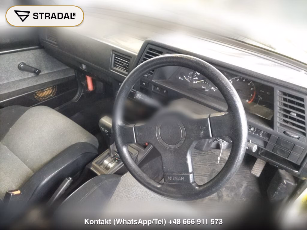 NISSAN SUNNY 3D, miniaturka 4