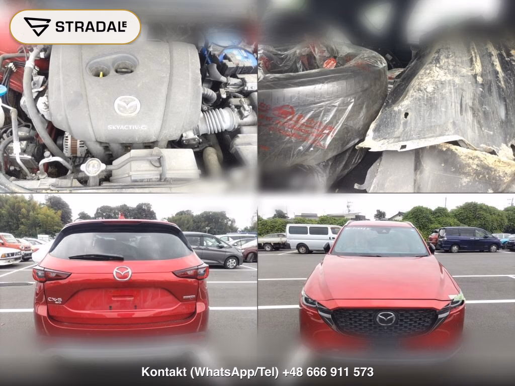 MAZDA CX-5 4WD 20S RETRO SPORTS EDITION, miniaturka 7