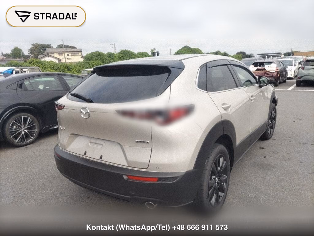 MAZDA CX-30, miniaturka 6