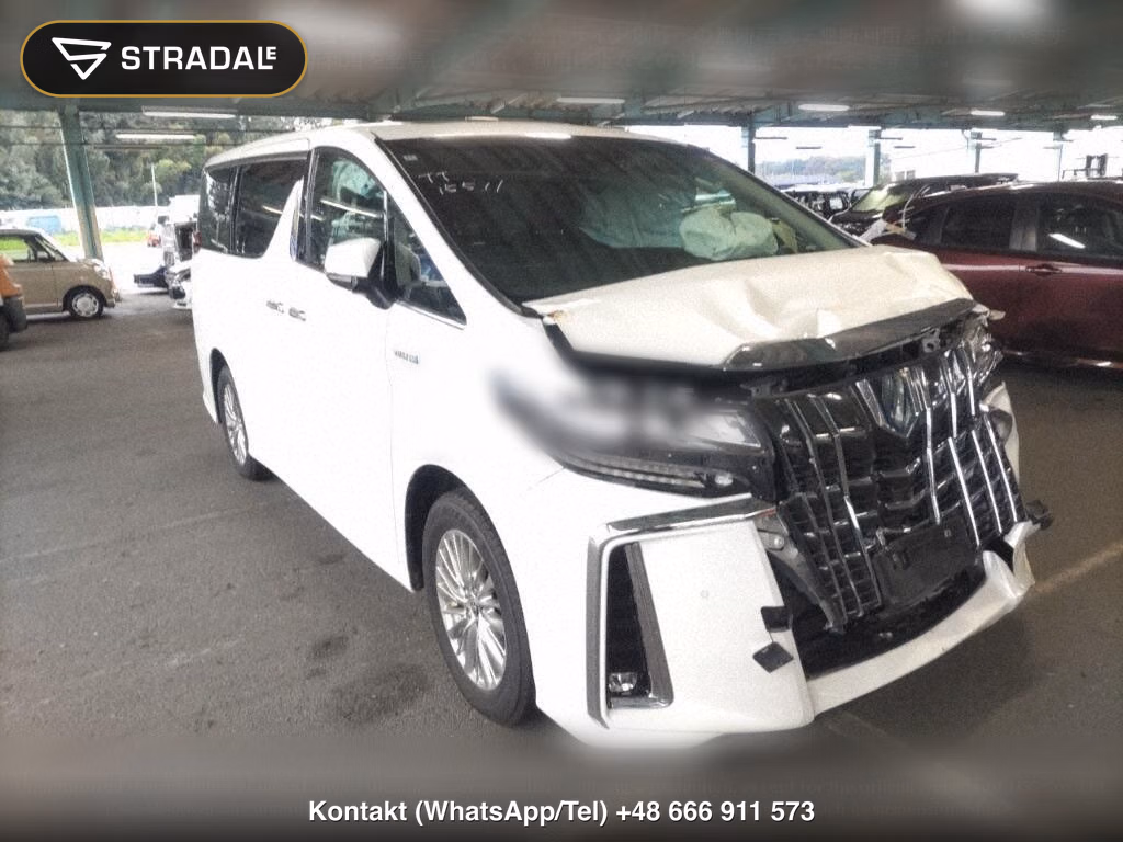TOYOTA ALPHARD HYBRID 4WD SR C PACKAGE, miniaturka 2