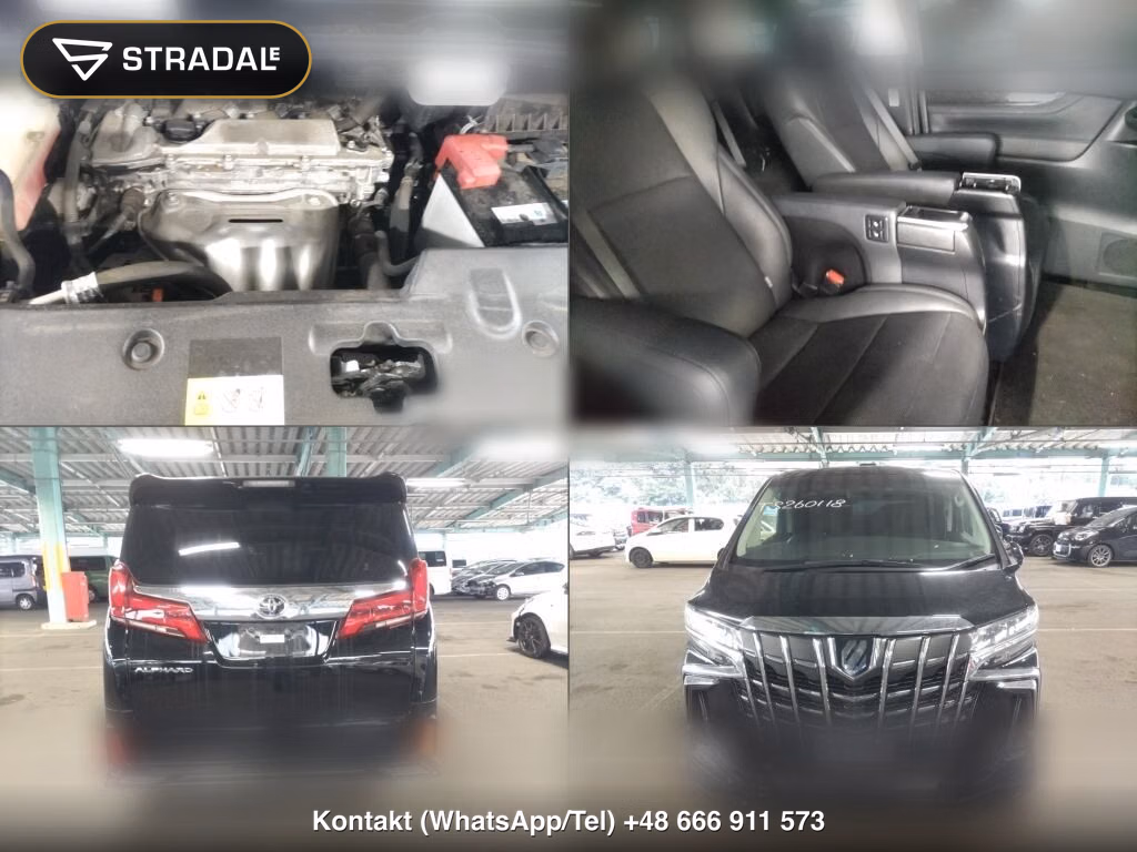 TOYOTA ALPHARD 2.5S C PACKAGE, miniaturka 7