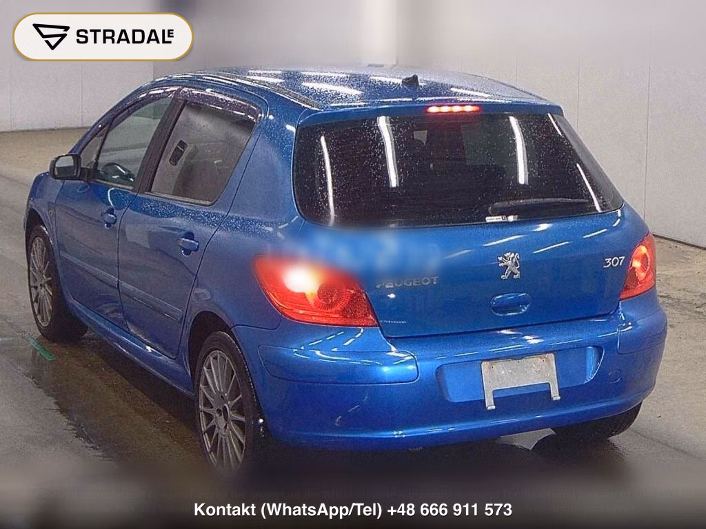 PEUGEOT 307 5D GRIFFE, miniaturka 3