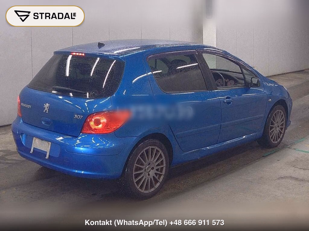 PEUGEOT 307 5D GRIFFE, miniaturka 6