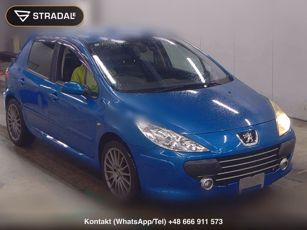 PEUGEOT 307 5D GRIFFE 2008, aukcja z Japonii, zdjęcie 1
