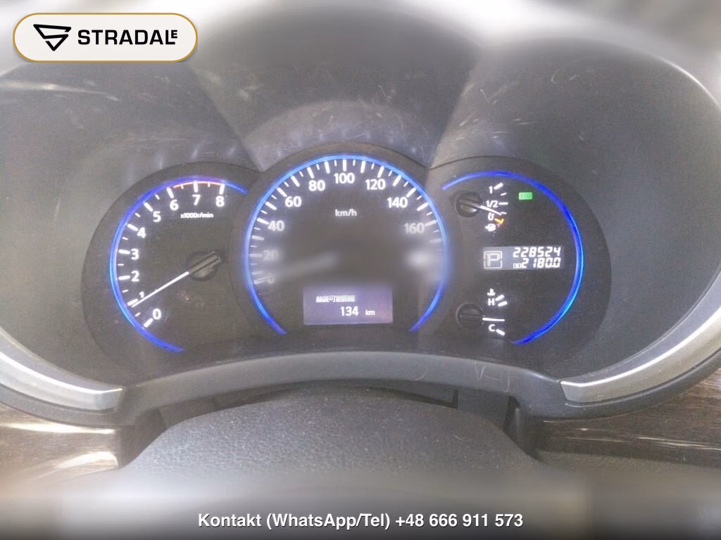 NISSAN ELGRAND 5D 250 HIGHWAY STAR, miniaturka 7