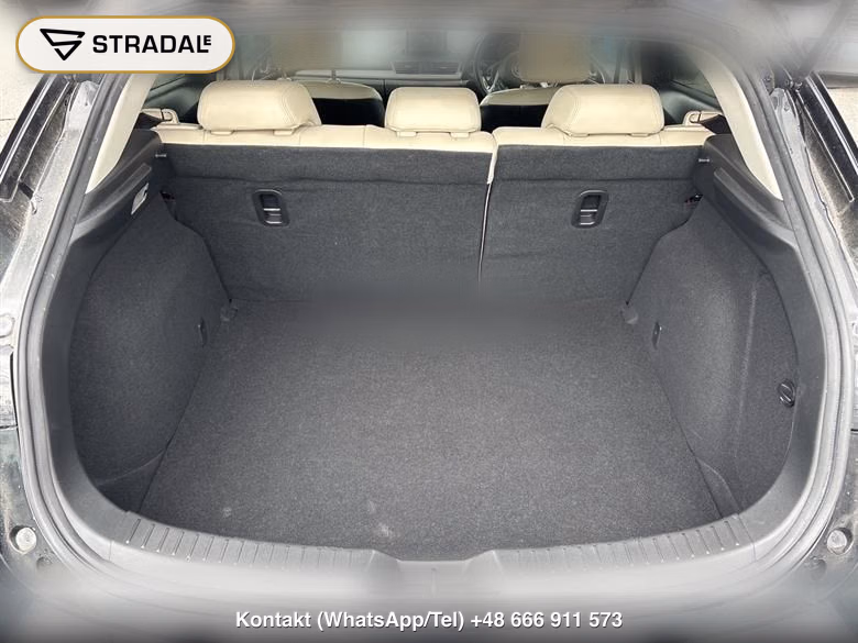 MAZDA AXELA SPORT 20S TOURING L PACKAGE, miniaturka 12