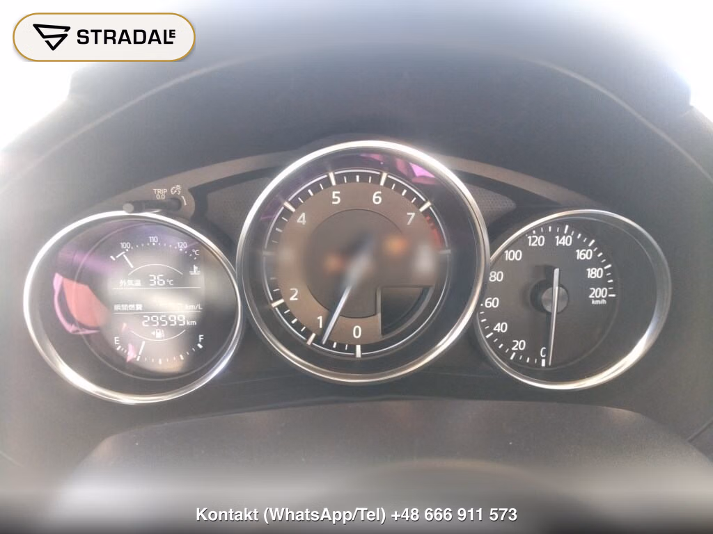 MAZDA ROADSTER 990S, miniaturka 7