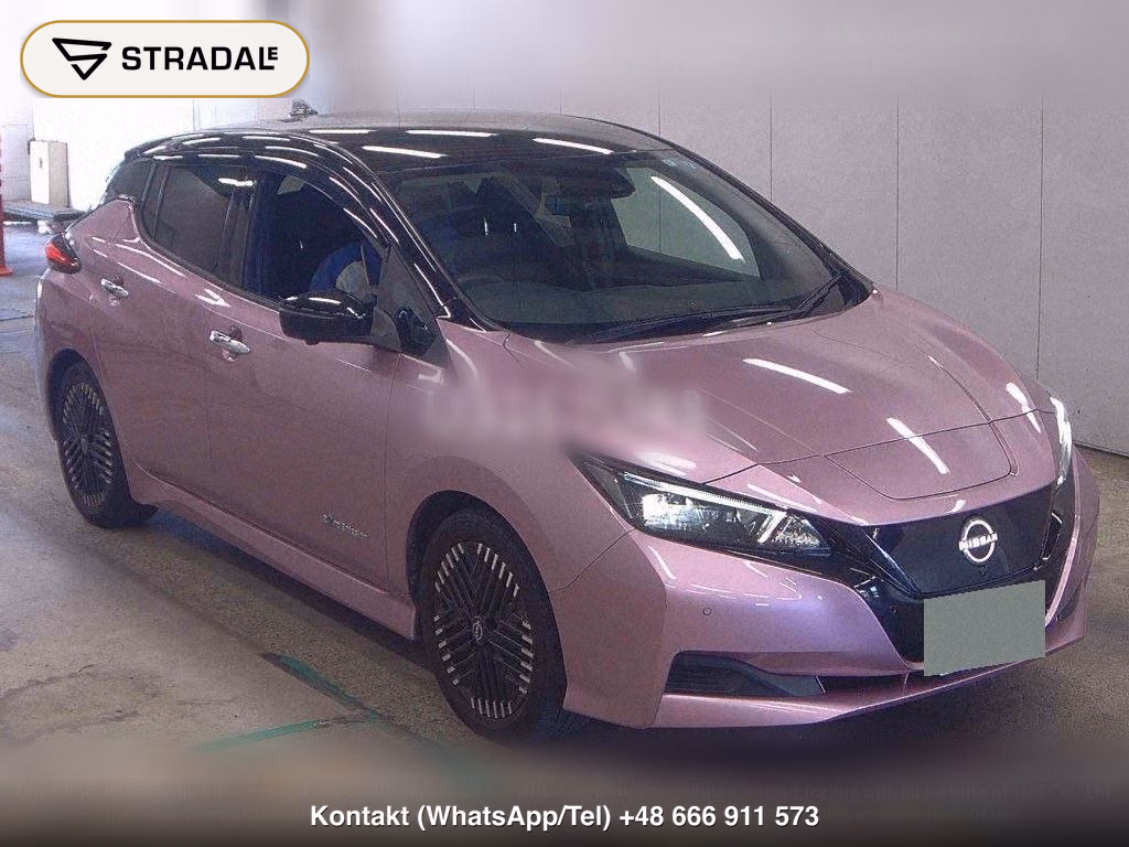 NISSAN LEAF X V SELECTION, miniaturka 2