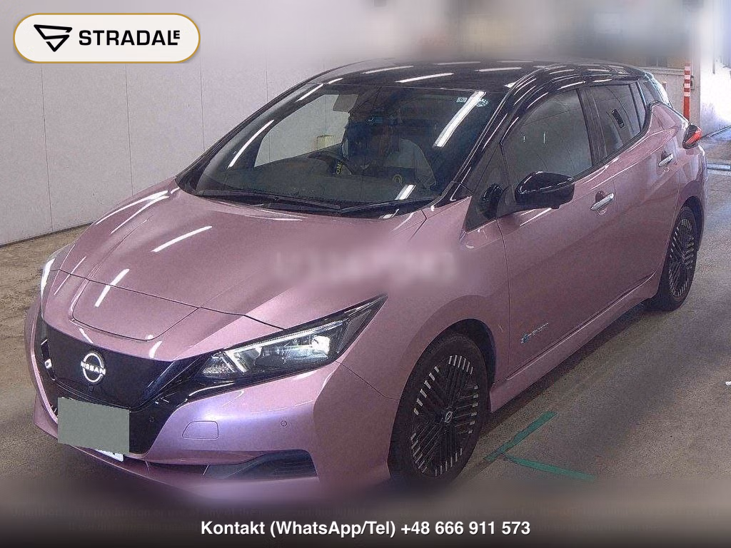 NISSAN LEAF X V SELECTION, miniaturka 5