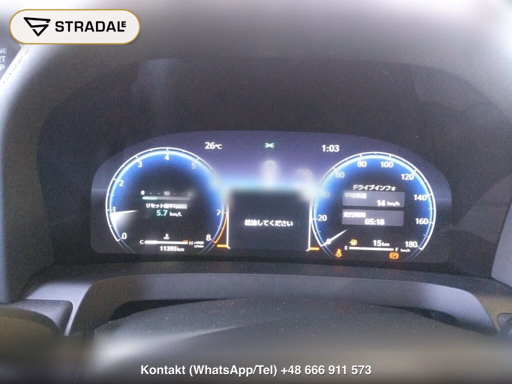 TOYOTA ALPHARD 4WD Z, miniaturka 7