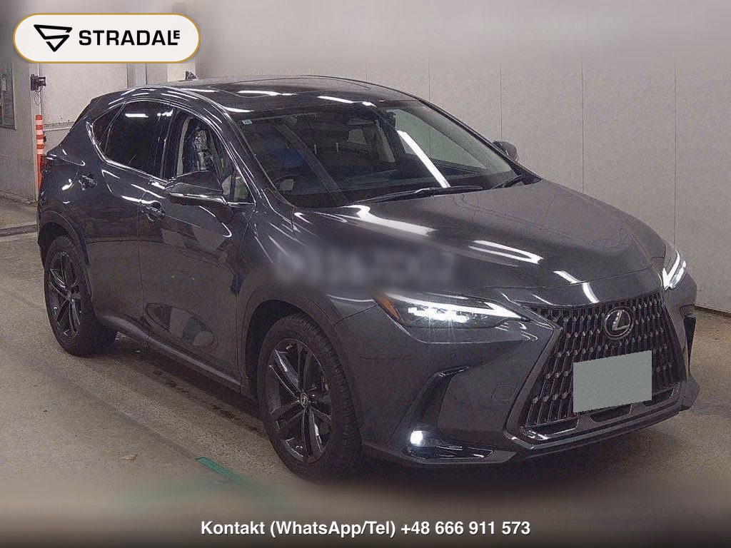 LEXUS NX 4WD NX250 VERSION L, miniaturka 2