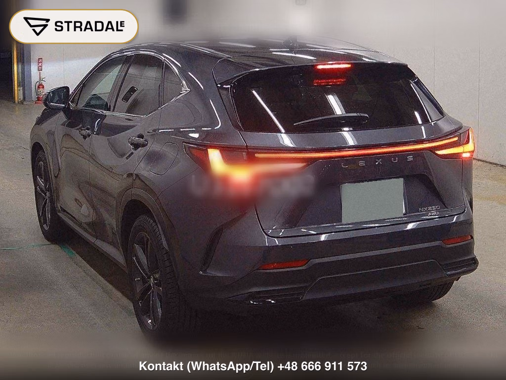LEXUS NX 4WD NX250 VERSION L, miniaturka 3