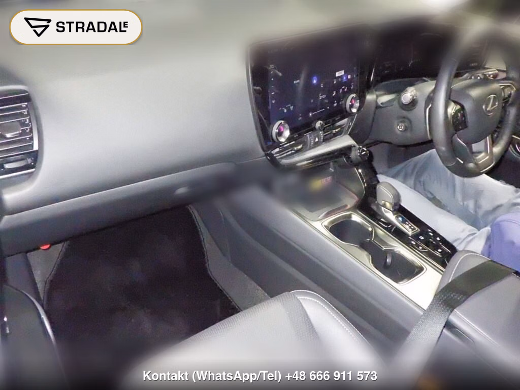 LEXUS NX 4WD NX250 VERSION L, miniaturka 4