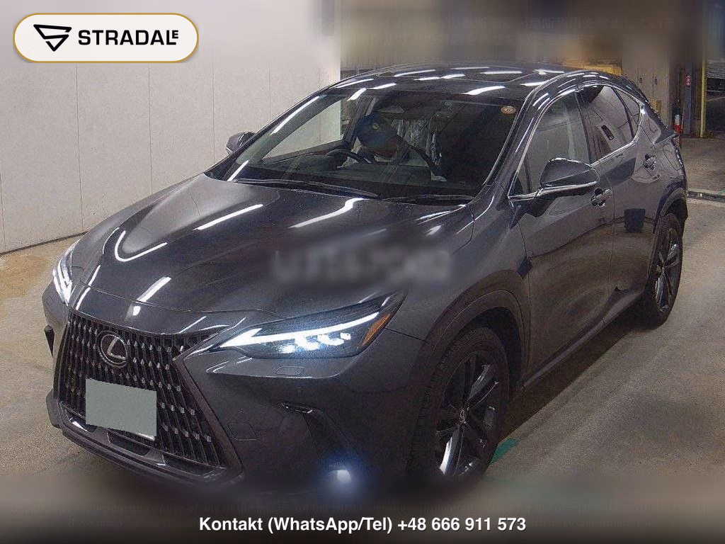 LEXUS NX 4WD NX250 VERSION L, miniaturka 5