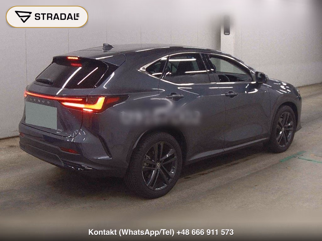 LEXUS NX 4WD NX250 VERSION L, miniaturka 6