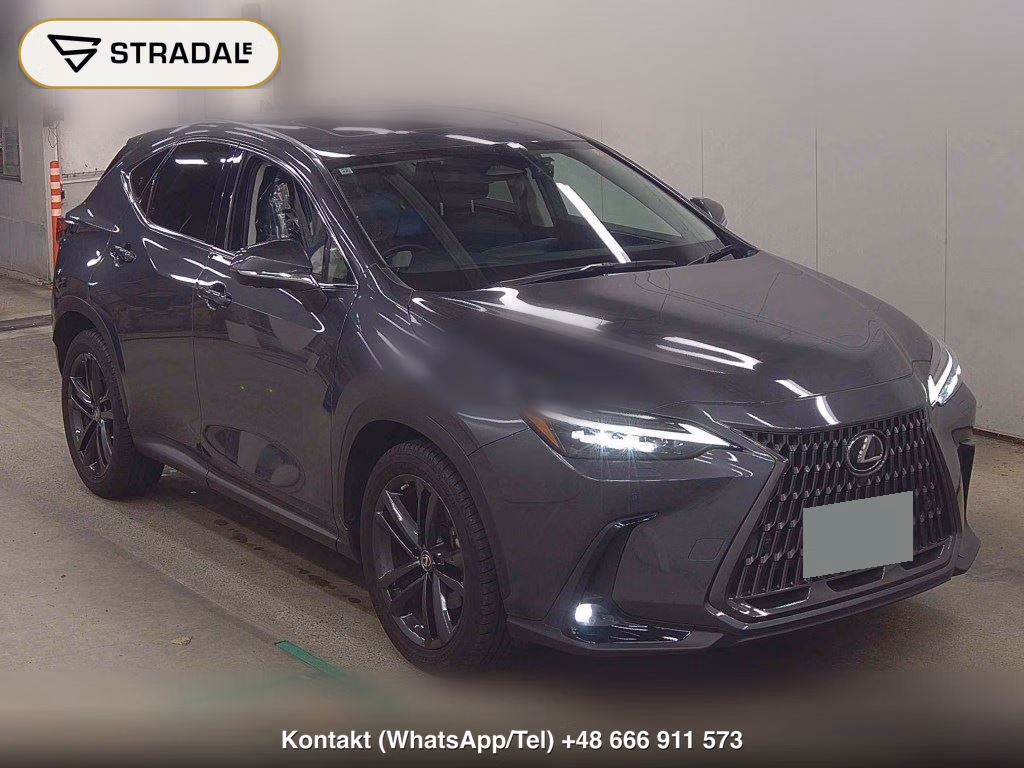 LEXUS NX 4WD NX250 VERSION L 2022, aukcja z Japonii, zdjęcie 1