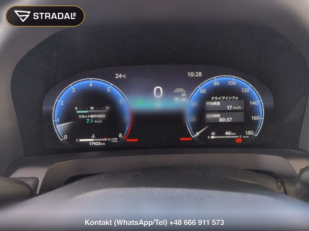 TOYOTA ALPHARD Z, miniaturka 7