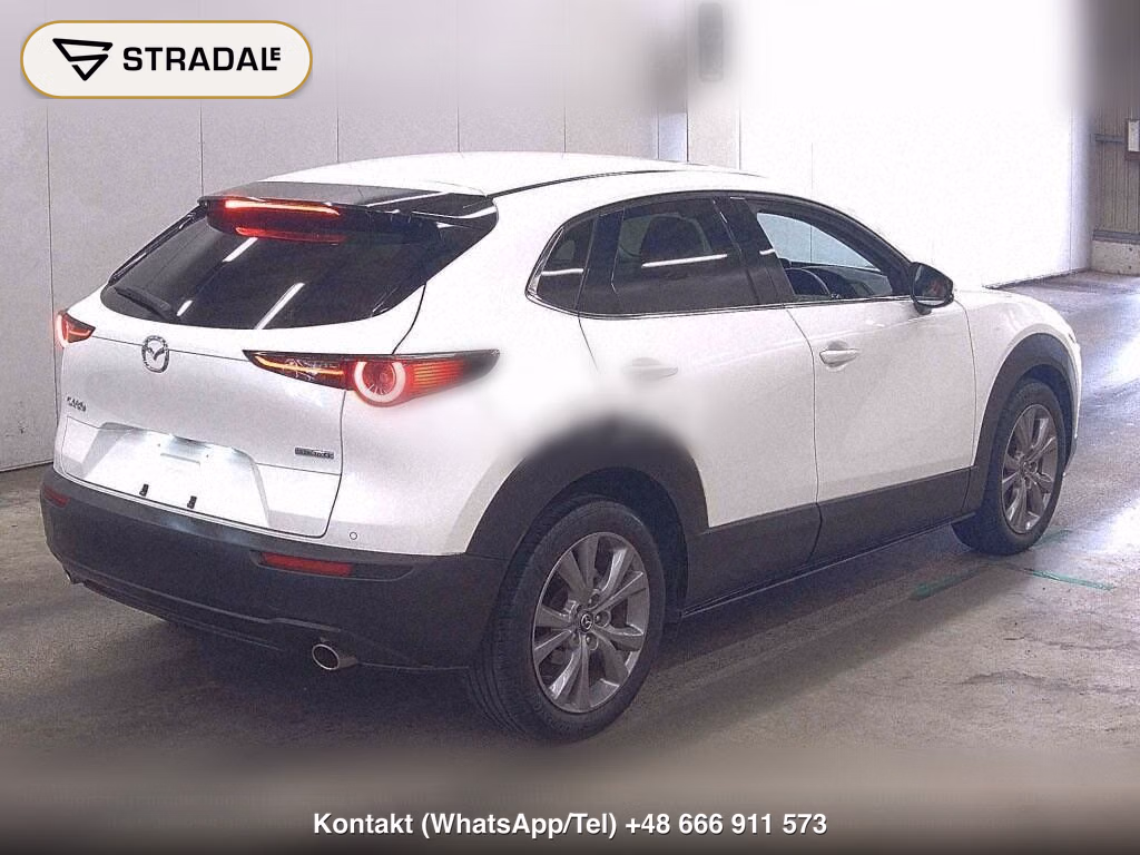 MAZDA CX-30 20S PROACTIVE TOURING SELECTION, miniaturka 6