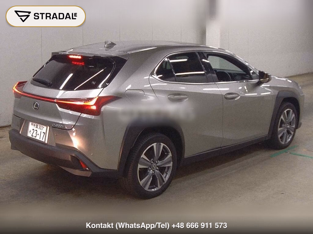 LEXUS UX300E UX300E VERSION L, miniaturka 6