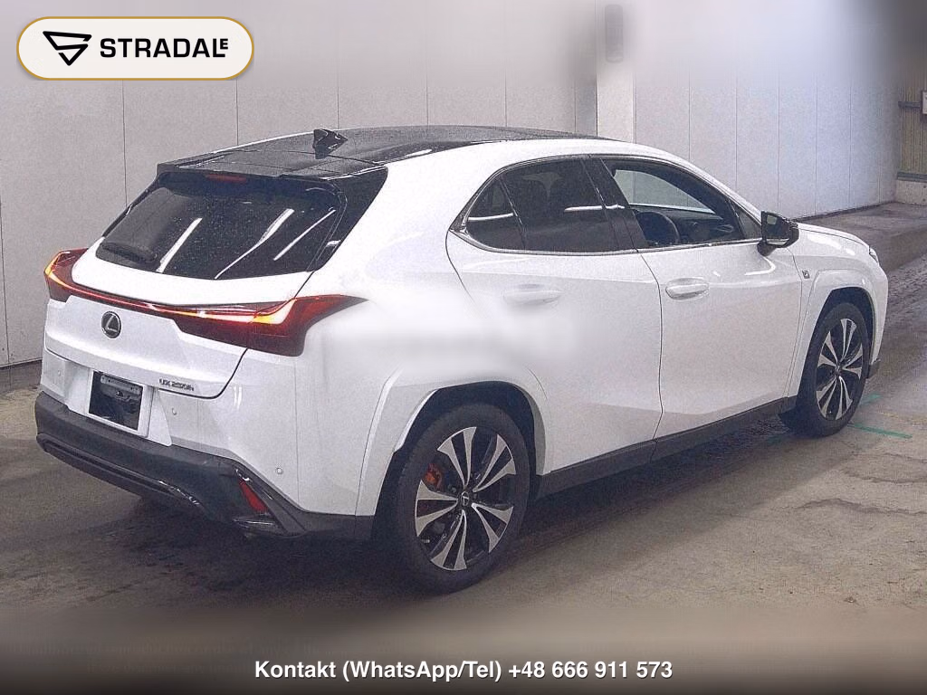 LEXUS UX UX250H F SPORT EMOTIONAL EXPLORER, miniaturka 5