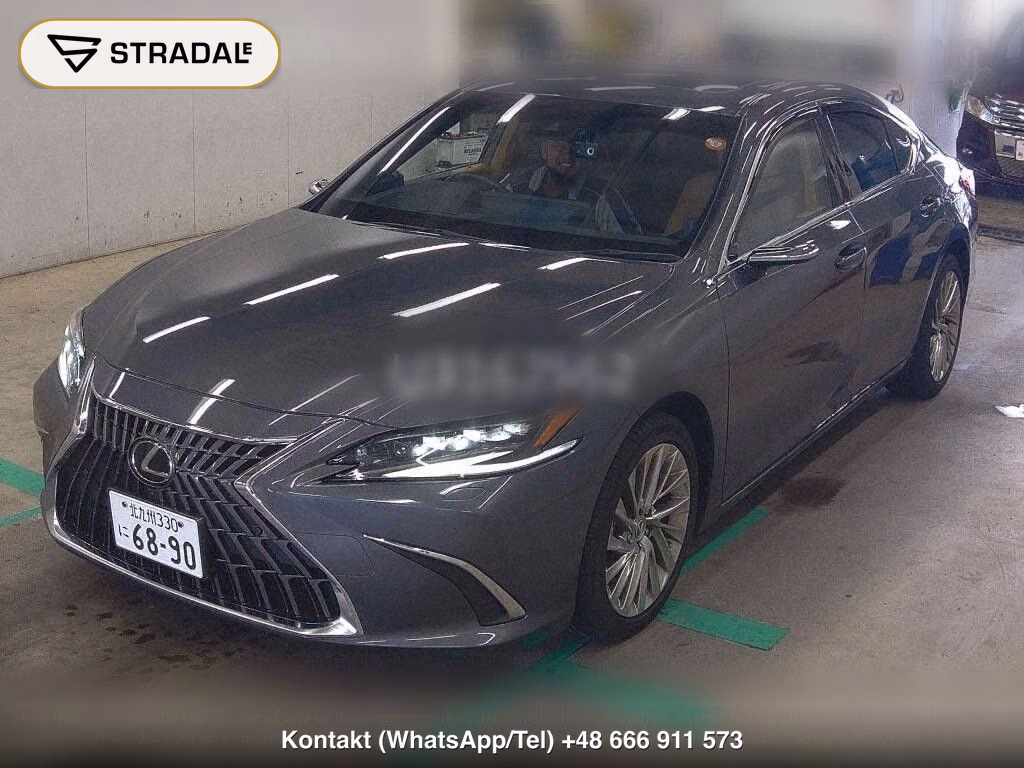 LEXUS ES ES300H VERSION L, miniaturka 5