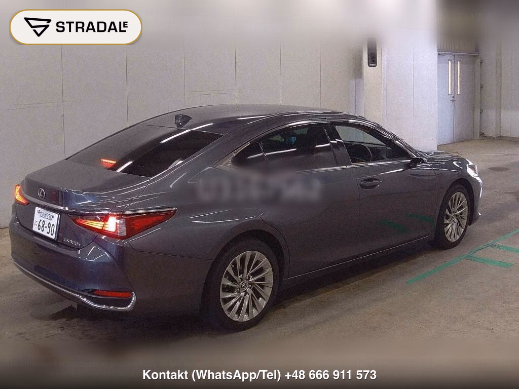LEXUS ES ES300H VERSION L, miniaturka 6