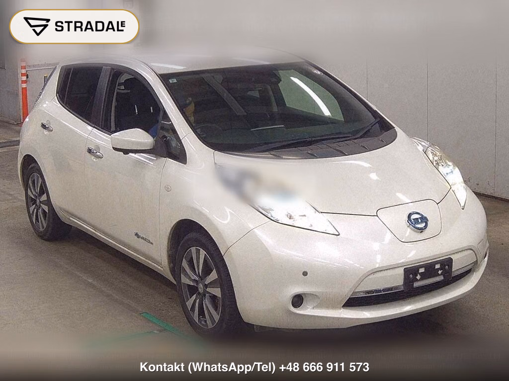 NISSAN LEAF X THANKS EDITION(30KWH), miniaturka 2