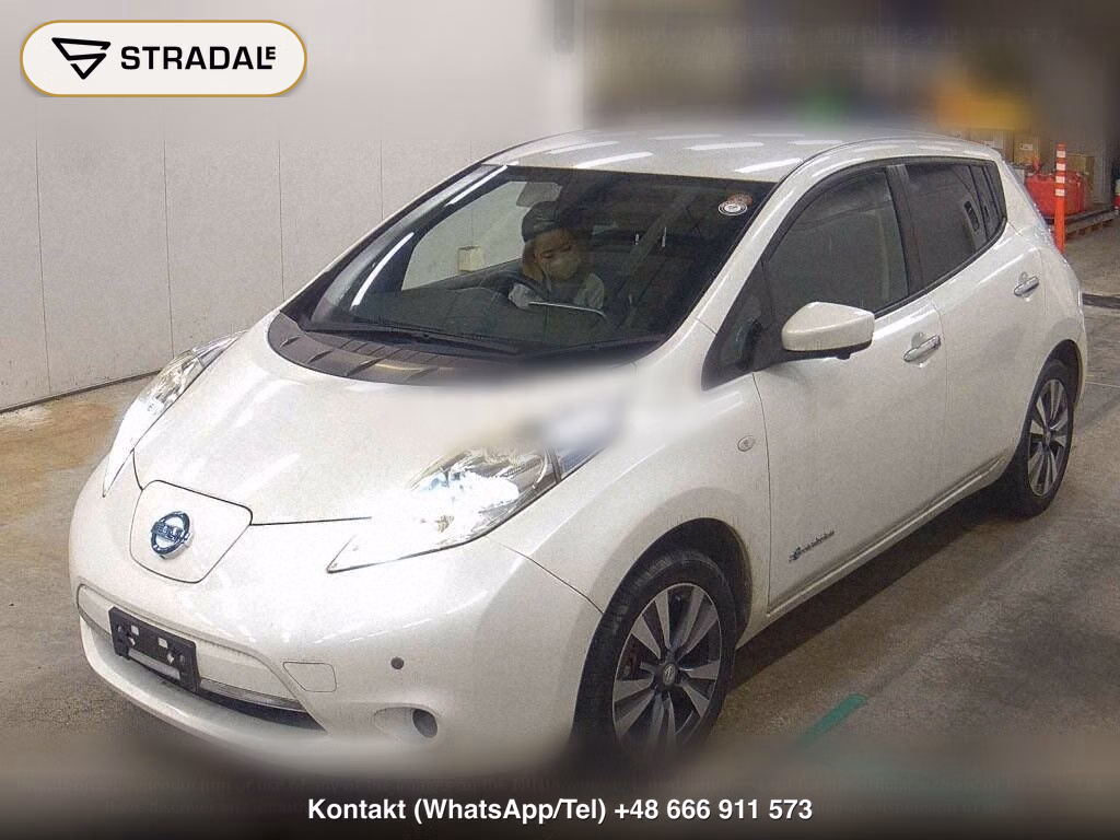 NISSAN LEAF X THANKS EDITION(30KWH), miniaturka 5