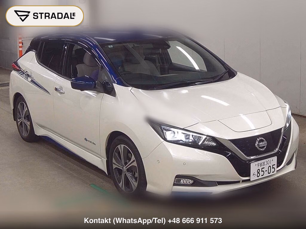 NISSAN LEAF G 2018, aukcja z Japonii, zdjęcie 1