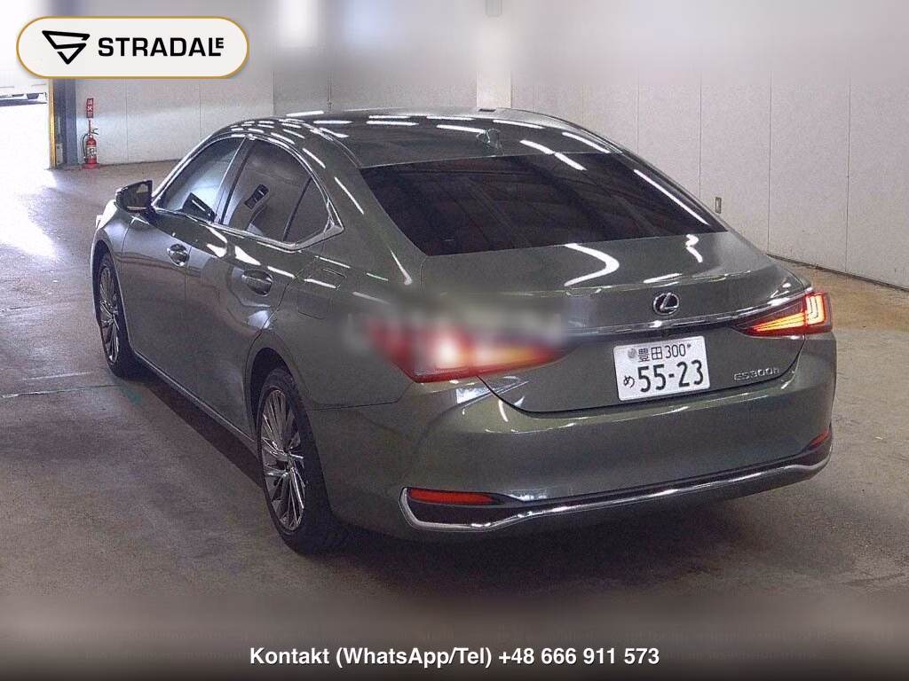 LEXUS ES ES300H GRACEFUL ESCORT, miniaturka 3